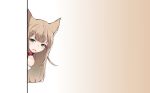  40hara animal_ears brown_hair catgirl collar gradient green_eyes long_hair original photoshop 