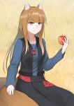  1girl animal_ears apple black_skirt black_vest blonde_hair blue_shirt closed_mouth eien_(x0b3o6x7) food fruit highres holding holding_food holding_fruit holo jewelry long_hair looking_at_viewer necklace red_eyes shirt sitting skirt solo spice_and_wolf vest wheat_field wolf_ears wolf_girl 