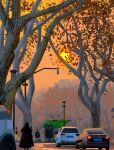  absurdres brush_stroke bus_stop car city clear_sky day highres lamppost motor_vehicle original outdoors painterly people poupee_(capo_sung) road scenery sky street sun tail_lights traffic white_tree yellow_leaves yellow_sky 