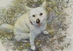  animal animal_focus autumn_leaves dog highres looking_at_viewer no_humans open_mouth original painting_(medium) realistic traditional_media watercolor_(medium) yu_grassbird 