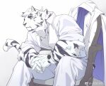  1boy animal_ears arknights bara collared_jacket collared_shirt facial_hair feet_out_of_frame fluffy formal furry furry_male goatee highres interlocked_fingers jacket ju_neng_binggui looking_to_the_side male_focus mountain_(arknights) muscular muscular_male on_chair own_hands_together partially_unbuttoned pectoral_cleavage pectorals scar scar_across_eye scar_on_face shirt short_hair sitting sleeves_rolled_up solo suit tail_raised thick_eyebrows tiger_boy tiger_ears unworn_jacket watch white_fur white_hair white_suit wristwatch 