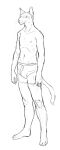 2024 anthro briefs briefs_only cettus clothed clothing domestic_cat felid feline felis hair hairless hairless_cat hakon_brandvold hi_res male mammal navel nipples peterbald ribs sketch slim solo standing tail topless underwear underwear_only