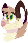 2016 alpha_channel ambiguous_form ambiguous_gender brown_body brown_eyebrows brown_fur canid canine canis cel_shading digital_drawing_(artwork) digital_media_(artwork) domestic_dog eyebrows fur green_eyes headshot_portrait jaspering lineless looking_up mammal pink_nose portrait prick_ears shaded simple_background smile snout solo tan_body tan_fur transparent_background white_inner_ear