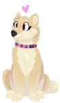 2016 alpha_channel ambiguous_gender black_nose brown_eyes canid canine canis cel_shading collar digital_drawing_(artwork) digital_media_(artwork) domestic_dog eyelashes feral full-length_portrait fur heart_symbol jaspering lineless mammal paws pink_collar portrait shaded shiba_inu simple_background sitting smile snout solo spitz tail tan_body tan_fur tan_inner_ear transparent_background
