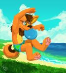  beach canine clothing cub dog frisbee invalid_tag jumping mammal pandapaco playing rijan seaside underwear young 