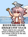  1girl animal_on_head bilingual bird bird_on_head blue_sky bow chibi closed_mouth cloud day eating english_commentary english_text engrish_commentary engrish_text food french_fries fujiwara_no_mokou hair_between_eyes hair_bow holding holding_food jokanhiyou mixed-language_text no_nose on_head outdoors pants pink_hair puffy_short_sleeves puffy_sleeves ranguage red_bow red_eyes red_pants seagull shirt short_sleeves sky suspenders touhou two-tone_bow white_bow white_shirt 