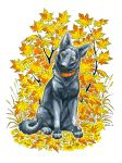  2016 anisis black_fur canine collar digital_media_(artwork) dog fur looking_at_viewer mammal orange_eyes paws traditional_media_(artwork) 