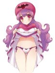  blush commentary_request curly_hair dragon_quest dragon_quest_ii drakee dress dress_lift emblem groin hat hood hood_up kichijou_agata long_hair looking_at_viewer panties princess princess_of_moonbrook purple_hair robe side-tie_panties solo underwear white_dress white_panties white_robe 