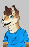  2018 anthro austin_the_red_fox canine clothed clothing digital_media_(artwork) fan_character fox fully_clothed hair hi_res looking_at_viewer male mammal portrait red_fox smile solo sonicriver toony 