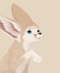  ambiguous_gender blue_eyes canid canine cdt2s fennec_fox feral fox hi_res mammal open_mouth solo true_fox whiskers 