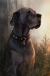  2018 black_nose canine collar detailed_background digital_media_(artwork) dog feral fur grey_fur mammal sitting solo wolnir 