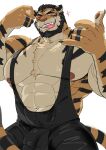  +++ 1boy abs absol_(dkqthf) animal_ears bandaged_hand bandages bara bare_pectorals beard black_hair black_singlet cat_mask chest_tuft covered_penis cowboy_shot dream_tiger_(govy9807) facial_hair fangs fingernails full_beard furry furry_male glint hand_up huge_pectorals looking_at_viewer male_focus mask multicolored_fur muscular muscular_male navel nipples one_eye_closed orange_fur original pectorals piercing shaka_sign sharp_fingernails short_hair simple_background solo tail tiger_boy tiger_ears tiger_stripes tiger_tail tongue tongue_out tongue_piercing v-taper variant_set whiskers white_background 