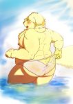  anthro blush butt canine clothed clothing cusith dog fur hi_res male mammal moobs musclegut muscular muscular_male nipples overweight overweight_male rear_view solo speedo swimsuit tokyo_afterschool_summoners topless translucent yellow_fur なめこ丼 