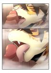  anthro baraking close-up comic erection fangs father father_and_son feline humanoid_penis incest licking male male/male mammal open_mouth oral parent partially_retracted_foreskin penis penis_lick retracted_foreskin saliva sex son tiger tongue tongue_out uncut 