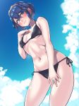  bikini blue_eyes blue_hair boris_(noborhys) breasts cloud commentary_request day embarrassed eyebrows_visible_through_hair fire_emblem fire_emblem:_kakusei fire_emblem_heroes hair_ornament hair_up highres lucina navel short_hair sky small_breasts sweatdrop swimsuit tiara 