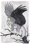  2017 anisis avian bird black_feathers cat feathered_wings feathers feline hybrid looking_at_viewer mammal owl traditional_media_(artwork) wings yellow_eyes 