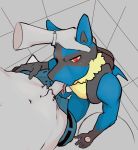  ambiguous_gender anthro anthro_on_anthro belt blue_fur clothed clothing duo erection first_person_view fur hand_on_head looking_at_partner looking_at_viewer looking_up lucario male male/ambiguous male_pov nintendo oral pants penis pok&eacute;mon pok&eacute;mon_(species) pubes red_eyes solo_focus spike_(disambiguation) tongue tongue_out topless video_games wojinn yellow_fur 