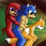  cutterfl knuckles_the_echidna sonic_team sonic_the_hedgehog tails 