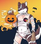  anthro bandage brown_fur bulge canine food fruit fur halloween holidays kateru_houon looking_at_viewer male mammal orangejuice_sei patchwork_creature pumpkin red_eyes solo utau 