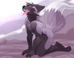  2018 amber_eyes anthro black_fur canine digital_media_(artwork) fox fur grey_fur kneeling male mammal open_mouth phation solo teeth tongue 