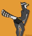  anthro avian balls beak bird bulge butt callmedaddy clothing digital_media_(artwork) feathers goshawk hawk male open_mouth simple_background solo thick_thighs underwear wide_hips 