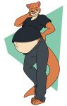  2018 absurd_res alpha_channel anthro barefoot belly big_belly blue_eyes brown_fur clothing exhausted eyewear fur glasses hand_on_back hi_res long_tail male male_pregnancy mammal mustelid navel one_eye_closed outie_navel pregnant randomgirl1265 shirt simple_background sweatpants transparent_background weasel 