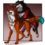  1:1 animal_genitalia animal_penis black_body black_fur blue_eyes canid canine canine_genitalia canine_penis duo erection fangs feral feral_on_feral fur genitals hair heterochromia imminent_sex killthe_demon knot male male/male mammal open_mouth orange_body orange_fur penis pink_tongue purple_hair purple_penis red_body red_fur red_penis storm_yamato teeth tongue tongue_out white_body white_fur yellow_eyes yipsky 