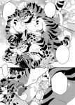  2018 anal anal_penetration anthro balls blush cat comic cum erection feline group group_sex leopard likulau lin_hu male male/male mammal monochrome nekojishi nude penetration penis rossciaco sex shu-chi spread_legs spreading sweat threesome tiger vein veiny_penis 