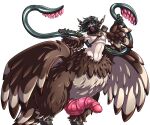 2025 6:5 adjatha avian avian_taur back_tentacles bird bird_taur black_hair brown_body brown_feathers crotch_tentacles feathers genitals hair hi_res humanoid looking_at_viewer male owl_taur penis shalinae simple_background solo standing story story_in_description taur tentacles trials_in_tainted_space white_background wings yellow_eyes