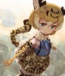  animal_ears arizonan_jaguar_(kemono_friends) bare_shoulders blonde_hair blue_eyes commentary elbow_gloves frilled_skirt frills from_above fur_collar gloves high-waist_skirt jaguar_ears jaguar_print jaguar_tail kemono_friends kolshica multicolored_hair short_hair skirt sleeveless solo suspender_skirt suspenders tail thighhighs 