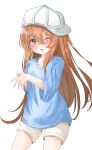  1girl bangs blue_shirt brown_eyes brown_hair female flat_cap hat hataraku_saibou long_hair looking_at_viewer platelet_(hataraku_saibou) shirt shorts solo t-shirt white_hat white_headwear 