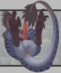  animal_genitalia animal_penis anthro anus backsack balls big_balls big_penis blue_feathers canine_penis claws dinosaur feathers foot_focus jesse_(neus) knot lying male nude on_back penis presenting presenting_anus presenting_penis raptor ridged_penis simple_background solo tail_feathers theropod xenoforge_(artist) 