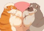 american_badger anthro anthro_on_anthro badger band-aid band-aid_on_face bandage bandage_on_face barazoku biceps big_muscles big_pecs black_nose blep blush blush_lines body_hair brown_body brown_fur brown_nipples brown_nose brown_stripes cheek_markings chest_hair closed_smile countershade_arms countershade_face countershade_fur countershade_torso countershading digital_drawing_(artwork) digital_media_(artwork) duo eye_contact eyebrows facial_markings felid fur grin hair head_markings heart_symbol hi_res huge_muscles interspecies looking_at_another male male/male male_anthro mammal markings mouth_closed multicolored_body multicolored_fur muscular muscular_anthro muscular_male mustelid musteline nipple_piercing nipples nude nude_anthro nude_male orange_body orange_fur pantherine pec_squish pecs pecs_touching piercing pink_nipples red_eyes shaded side_view simple_background smile smiling_at_another striped_body striped_fur stripes teeth theor theor_(character) tiger tongue tongue_out trapezius white_body white_countershading white_eyebrows white_fur white_hair