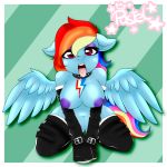  2018 absurd_res anthro areola armwear bdsm big_breasts blue_feathers bondage border bound breasts clothing collar cutie_mark equine erect_nipples eyelashes eyeshadow feathered_wings feathers female floppy_ears friendship_is_magic hair hi_res hoof_gloves kneeling legwear looking_at_viewer makeup mammal mascara mostly_nude multicolored_hair my_little_pony navel nipples open_mouth pastel-pony-princess pattern_background pegasus pet_tag petplay purple_areola purple_eyes pussy rainbow_dash_(mlp) rainbow_hair roleplay rubber simple_background solo spread_wings star submissive submissive_female teal_background teeth text thigh_highs tongue tongue_out white_border wings 