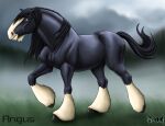 absurd_res ambiguous_gender angus_(disney) black_body black_mane black_tail chin_tuft cloud cloudy_sky draft_horse equid equine facial_tuft feral grass hi_res hooves horse mammal mane noki001 plant shire sky solo tail tuft walking