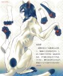  abstract_background blue_collar blue_eyes blue_fur blue_hair blue_tail body_fur collar expressionless human_head isaki_(shimesaba) leg_lift monster_boy original pawpads sitting solo sphinx two-tone_fur two-tone_tail white_fur white_tail 