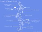 2010 3_toes 4_fingers anthro arm_tuft artist_name athletic athletic_anthro athletic_male back_tuft biped blue_and_white blue_background blueprint blueprint_background calf_tuft canid canine canis casual_nudity chest_tuft collarbone colored_line_art coyote dated digital_drawing_(artwork) digital_media_(artwork) english_text feet fingers fluffy fluffy_chest fluffy_tail forearm_tuft forearms glance glancing_back half-closed_eyes hand_on_chest hand_on_own_chest hand_on_pecs humanoid_hands humanoid_heel knee_tuft latin_text leg_tuft looking_at_viewer looking_back looking_back_at_viewer looney_tunes male mammal monochrome narrowed_eyes nude paws pecs plantigrade puffed_out_chest puffed_tail raised_finger shoulder_tuft side_view simple_background sketch sketchy skinny smile smiling_at_viewer smirk smirking_at_viewer smug smug_expression smug_eyes smug_face smug_grin solo stevethedragon tail text toes tuft warner_brothers whisker_spots white_line_art white_lines white_text wile_e._coyote