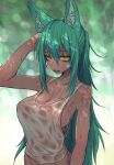  1girl animal_ear_fluff animal_ears aqua_hair arm_up bandaid bandaid_on_cheek bandaid_on_face bare_arms bare_shoulders blurry blurry_background breasts cleavage covered_nipples gomio_(bb-k) hair_between_eyes hand_on_own_head highres irvine_(gomio) large_breasts long_hair looking_at_viewer nipples original parted_lips see-through_clothes sharp_teeth sideboob sidelocks simple_background solo sweat tank_top teeth upper_body very_long_hair wet wet_clothes white_tank_top yellow_eyes 