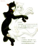  2girls bell black_fur black_hair blue_eyes cat cat_girl closed_mouth collar colored_sclera expressionless hug human_head isaki_(shimesaba) long_hair monster_girl multiple_girls neck_bell original pawpads red_collar sphinx spread_legs white_background white_fur white_hair yellow_sclera 
