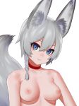  animal_ear_fluff animal_ears bangs blue_eyes braid breasts choker closed_mouth eyebrows_visible_through_hair fox_ears fox_tail grey_hair highres looking_at_viewer medium_breasts nezuko nipples nude original red_choker short_hair simple_background smile solo tail upper_body white_background 