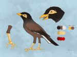  ambiguous_gender avian beak bird claws common_myna cybernetics feral hallo_(robot) machine model_sheet myna robot simple_background solo tongue wings zooey 