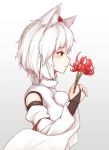  bad_id bad_pixiv_id banned_artist bimuri blush closed_mouth commentary eyebrows_visible_through_hair flower from_side hat highres holding holding_flower inubashiri_momiji looking_away red_eyes red_hat short_hair solo tokin_hat touhou upper_body white_hair 