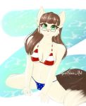  american_flag_bikini bikini brown_hair carrot_kingdom cat_ears_(disambiguation) clothing eyewear feline glasses hair mammal maomaogames sugarfoxxart swimsuit 