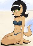  2018 anthro beach black_hair breasts brown_fur cat cleavage clothed clothing davidsanchan digital_media_(artwork) fangs feline female fur green_eyes hair hi_res kitty_katswell kneeling looking_at_viewer mammal navel nickelodeon pose seaside simple_background smile solo swimsuit t.u.f.f._puppy 