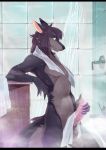  anthro bedroom_eyes black_nose canine erection fur half-closed_eyes happy hi_res humanoid_penis kael male mammal naughty_face penis seductive shower smile solo standing vivianfaberfox wolf 