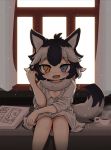 :d ahoge animal_ears black_hair blue_eyes commentary_request cup curtains drawing fangs flower grey_wolf_(kemono_friends) heterochromia highres indoors kemono_friends looking_at_viewer multicolored_hair onaji_(sokudo_seigen) open_mouth oversized_clothes shirt short_hair sitting smile solo tail two-tone_hair white_background white_shirt window wolf_ears wolf_tail yellow_eyes younger 