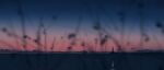  absurdres blue_sky blurry blurry_foreground branch bush depth_of_field dusk evening gracile gradient_sky highres horizon landscape lighthouse mountainous_horizon no_humans ocean original red_sky reflection reflective_water scenery sky water 
