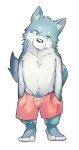  2016 4_toes alpha_channel anthro barefoot blue_fur canine clothed clothing fur jimyangsheep male mammal multicolored_fur shorts simple_background solo standing toes topless transparent_background tuft two_tone_fur two_tone_tail wolf 