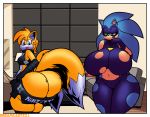  absurd_res anthro big_breasts big_butt breasts butt canine clothing crossgender dreamcastzx1 duo female fox hedgehog hi_res huge_breasts huge_butt mammal miles_prower sonic_(series) sonic_the_hedgehog tight_clothing video_games 