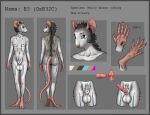 5_fingers 5_toes absurd_res animal_genitalia animal_penis anthro areola b3_(ashnurazg) balls big_balls black_hair blue_eyes border butt claws cybernetics cyberpunk cyborg digitigrade ear_piercing erection feet fingers flat_chested fur furgonomics furry-specific_piercing genital_piercing genitals grey_body grey_border grey_fur hair hi_res incisors intersex lgbt_pride machine mammal medial_ring model_sheet mouse murid murine nipple_piercing nipples nonbinary_(lore) nude penis piercing pink_ears pink_feet pink_hands pink_nipples pink_nose pink_penis pink_tail pride_colors pubes rodent rodent_penis sheath sheath_piercing simple_background solo spreading standing tail teeth text toes transgender_pride_colors urethra usb_port vulva white_body white_claws white_fur woolly_mouse